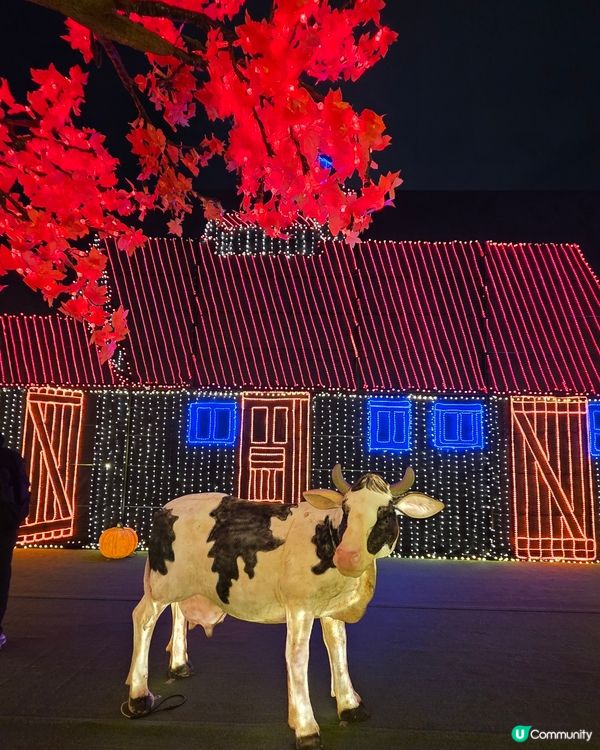 香港首個光影樂園體驗✨Festilumi