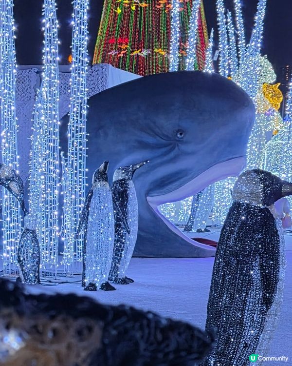 香港首個光影樂園體驗✨Festilumi