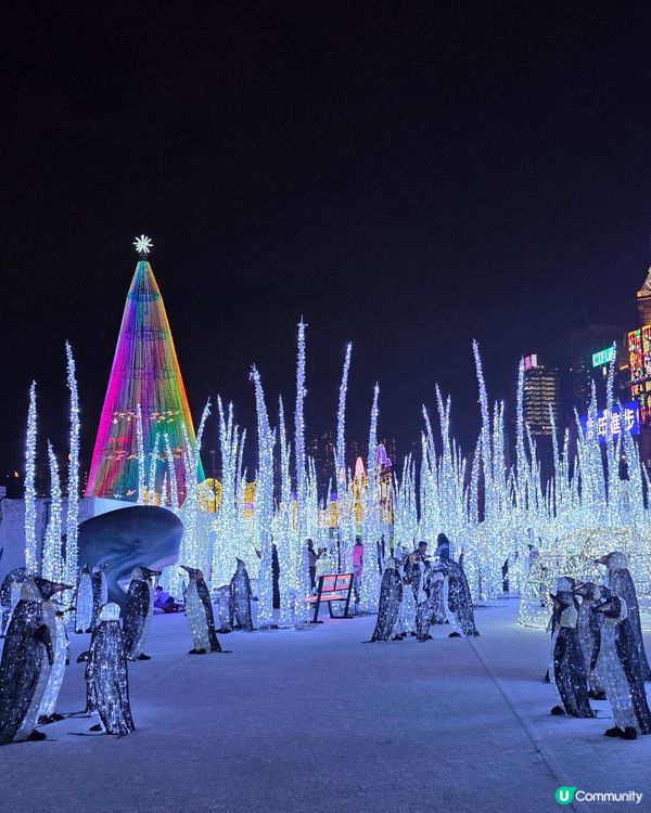 香港首個光影樂園體驗✨Festilumi