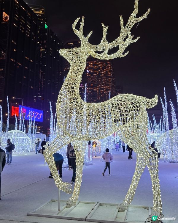 香港首個光影樂園體驗✨Festilumi