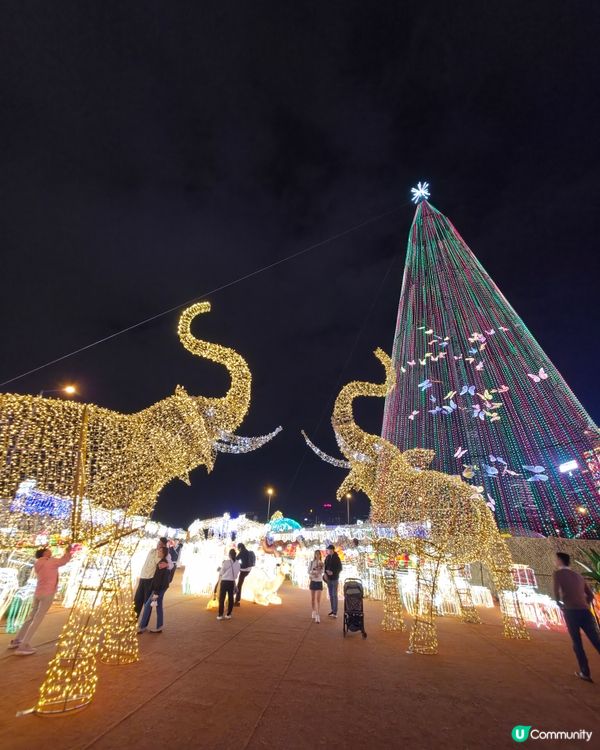 香港首個光影樂園體驗✨Festilumi