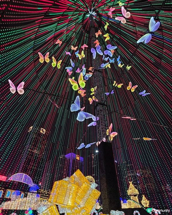 香港首個光影樂園體驗✨Festilumi