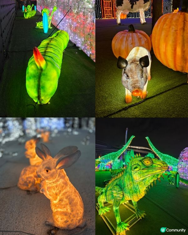 香港首個光影樂園體驗✨Festilumi