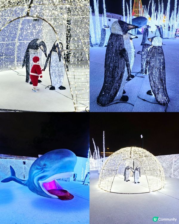 香港首個光影樂園體驗✨Festilumi