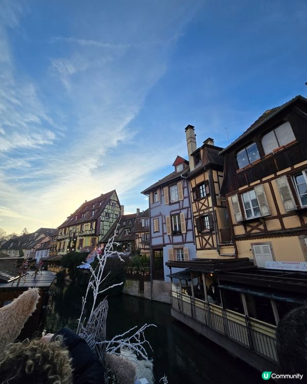 科爾馬🎄小威尼斯，聖誕燈飾超夢幻！✨