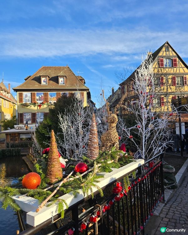 科爾馬🎄小威尼斯，聖誕燈飾超夢幻！✨
