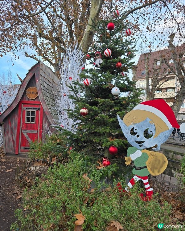 科爾馬🎄小威尼斯，聖誕燈飾超夢幻！✨