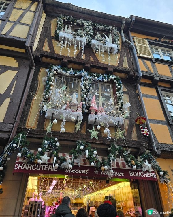 科爾馬🎄小威尼斯，聖誕燈飾超夢幻！✨