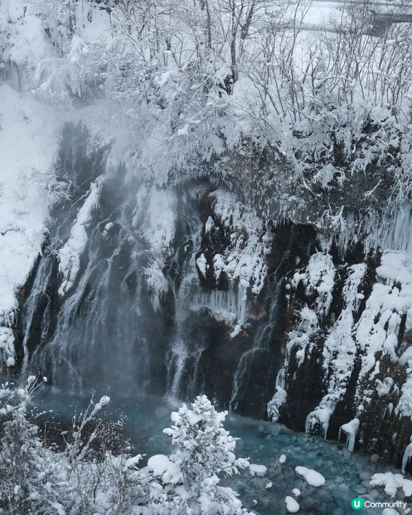 北海道聖誕老人鬍鬚❄️！銀鬚瀑布打卡📸！