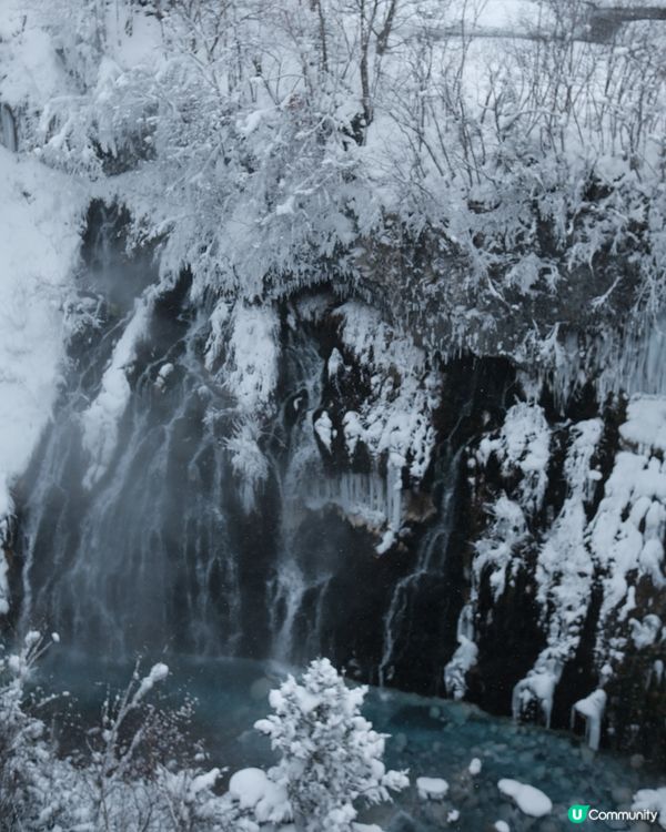 北海道聖誕老人鬍鬚❄️！銀鬚瀑布打卡📸！