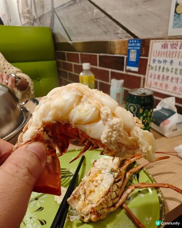 旺角百令蚊食到龍蝦蒸汽鍋🦞