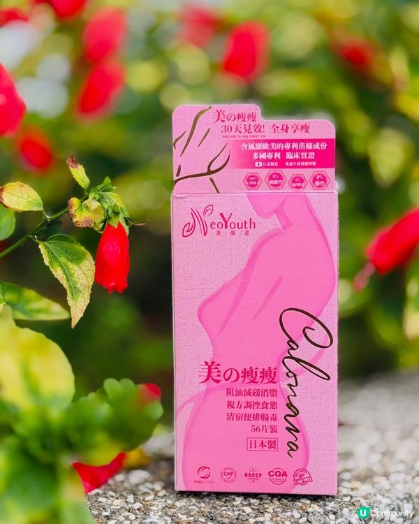 每日餐前食一粒，輕鬆減肥不是夢✨