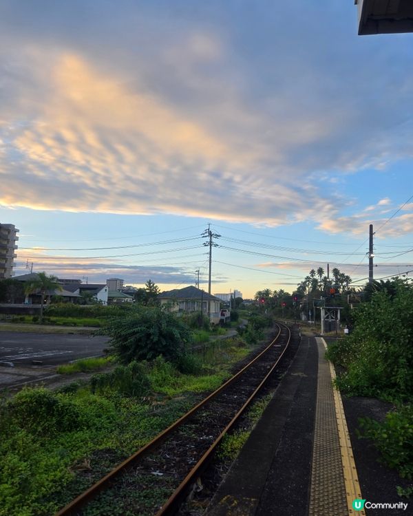 #日本好去處 #UCreator #日本櫻花 #旅行打卡 #...