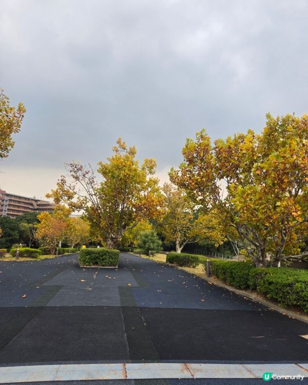 #日本好去處 #UCreator #日本櫻花 #旅行打卡 #...