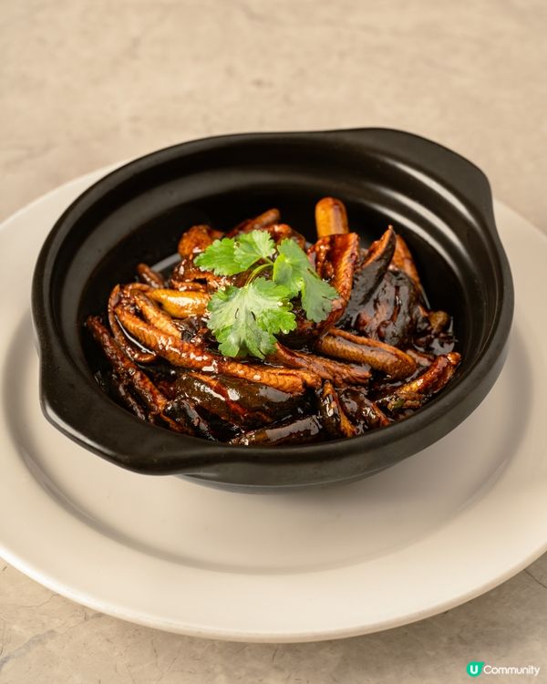 灣仔老字號上海淮揚菜館！$488歎八道菜套餐/鎮店火瞳雞燉津白湯/香脆生煎包