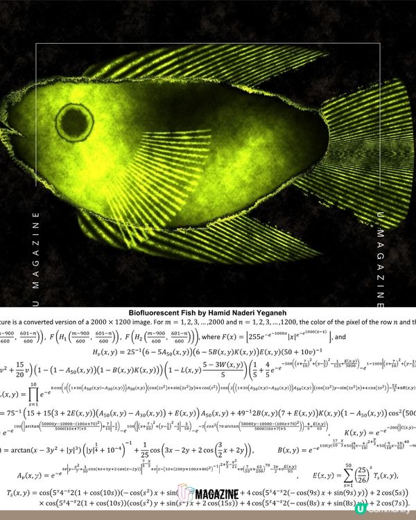 藝術家用數學方程式「算」出不同生物！