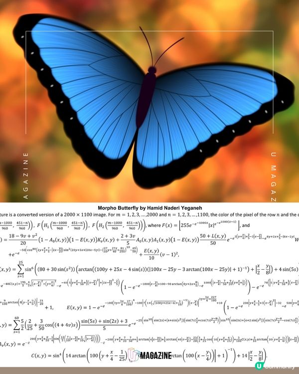 藝術家用數學方程式「算」出不同生物！