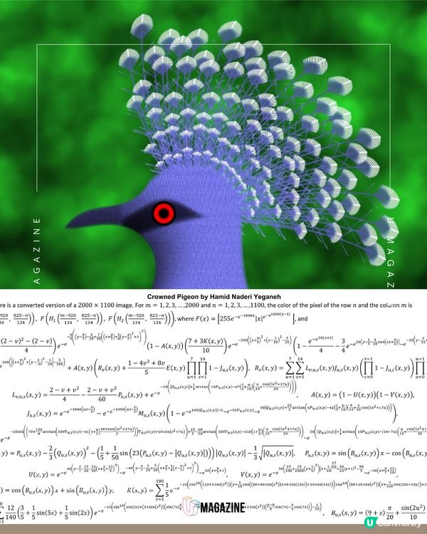 藝術家用數學方程式「算」出不同生物！