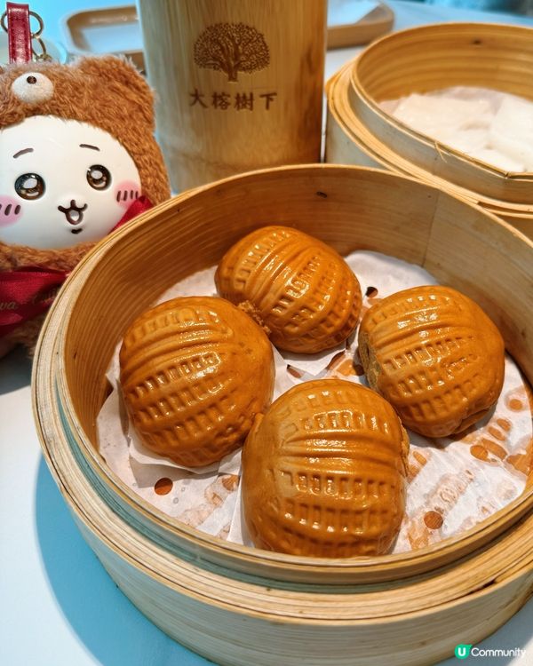 順德味🤤！大榕樹下嘅鑊氣廣府菜🔥