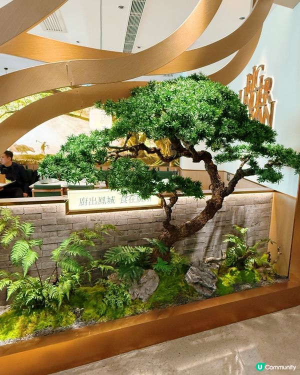 順德味🤤！大榕樹下嘅鑊氣廣府菜🔥