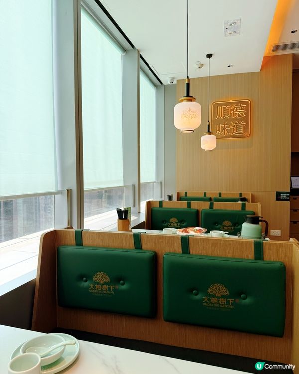 順德味🤤！大榕樹下嘅鑊氣廣府菜🔥