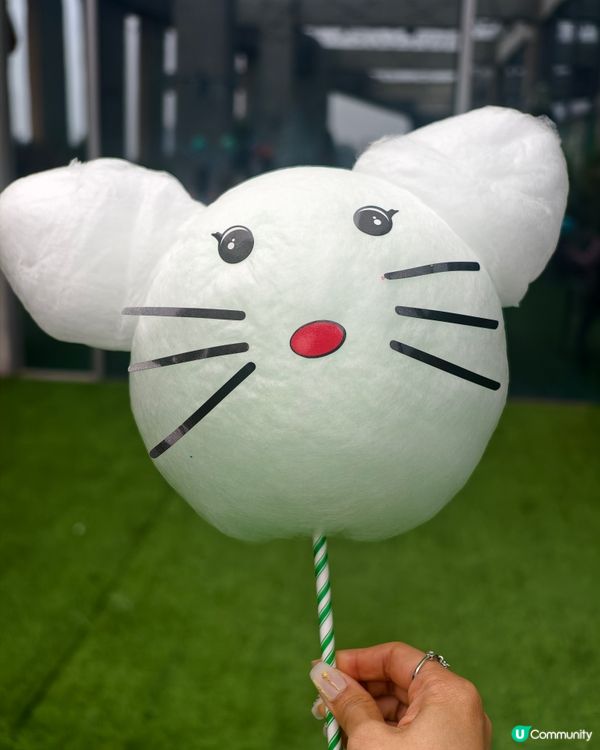 深圳親子遊，酒店推介Hardrock hotel$6xx 一