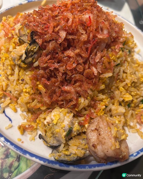  金飯館肉餅飯份量足，食完真係飽