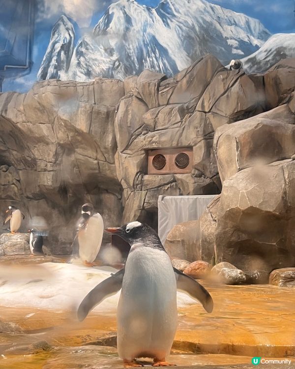 🧒🏻小朋友好去處🎠🎡