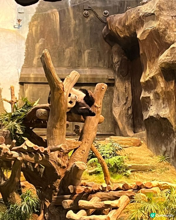 🧒🏻小朋友好去處🎠🎡