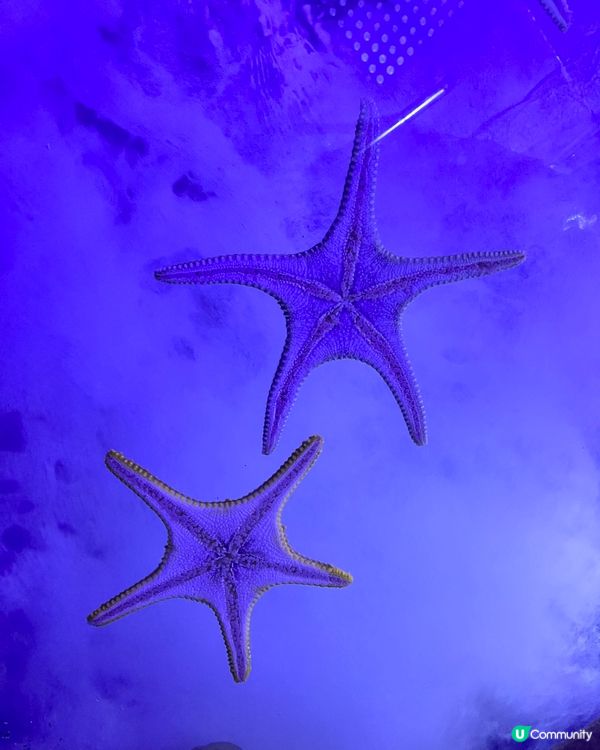 🧒🏻小朋友好去處🎠🎡