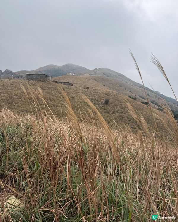 大東山⛰️靚景但辛苦！💪5.5hours!!