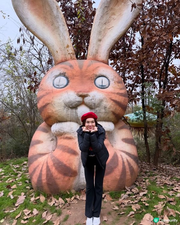 我在成都麓湖島慶祝聖誕🎄