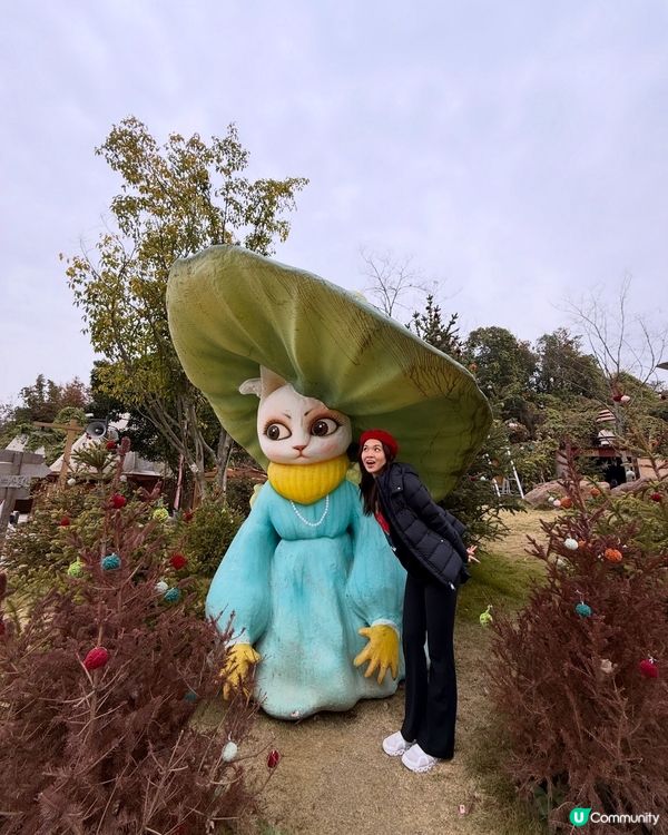 我在成都麓湖島慶祝聖誕🎄