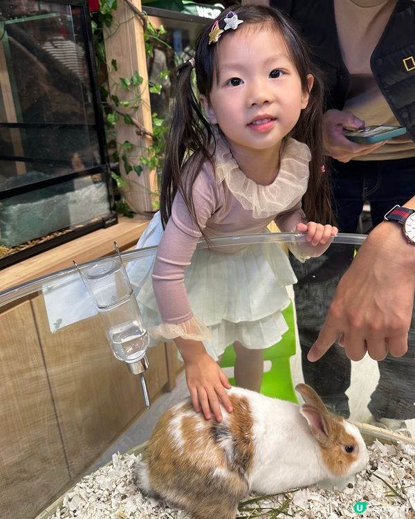 想近距離接觸小動物，一於嚟小小寵物園體驗！ 🐰🐹