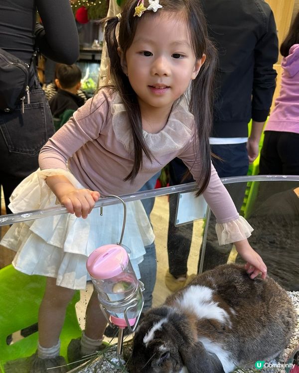 想近距離接觸小動物，一於嚟小小寵物園體驗！ 🐰🐹