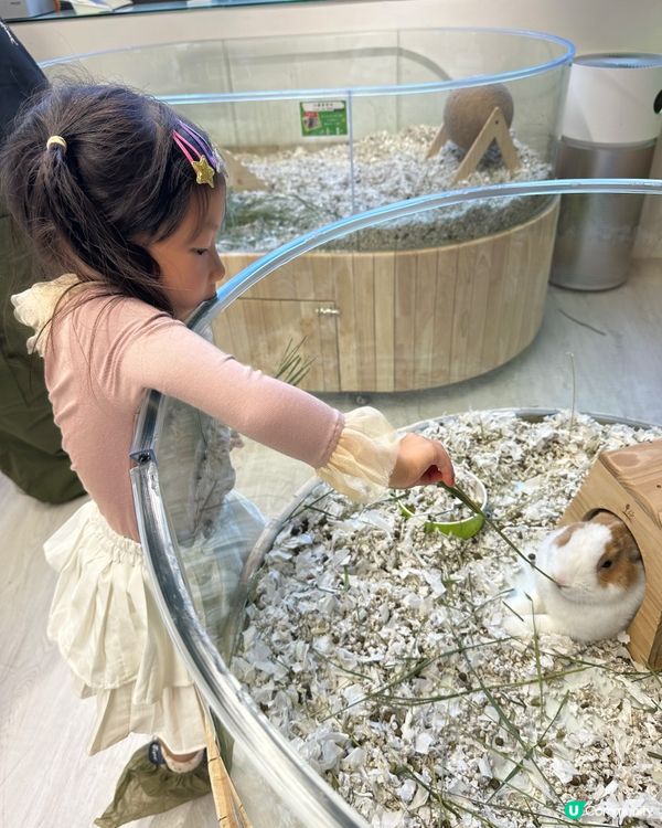 想近距離接觸小動物，一於嚟小小寵物園體驗！ 🐰🐹