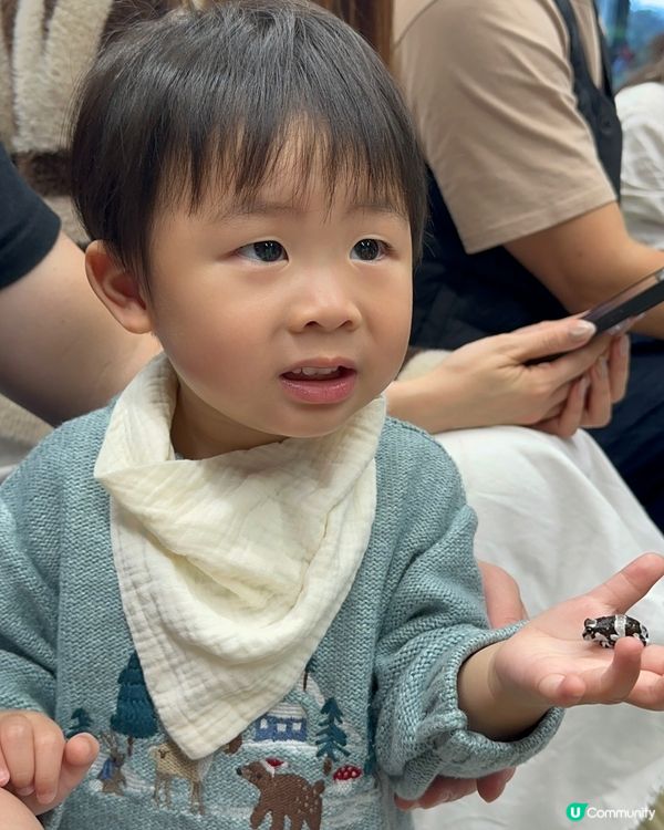 想近距離接觸小動物，一於嚟小小寵物園體驗！ 🐰🐹