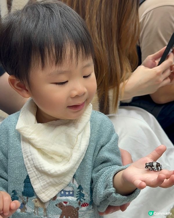 想近距離接觸小動物，一於嚟小小寵物園體驗！ 🐰🐹