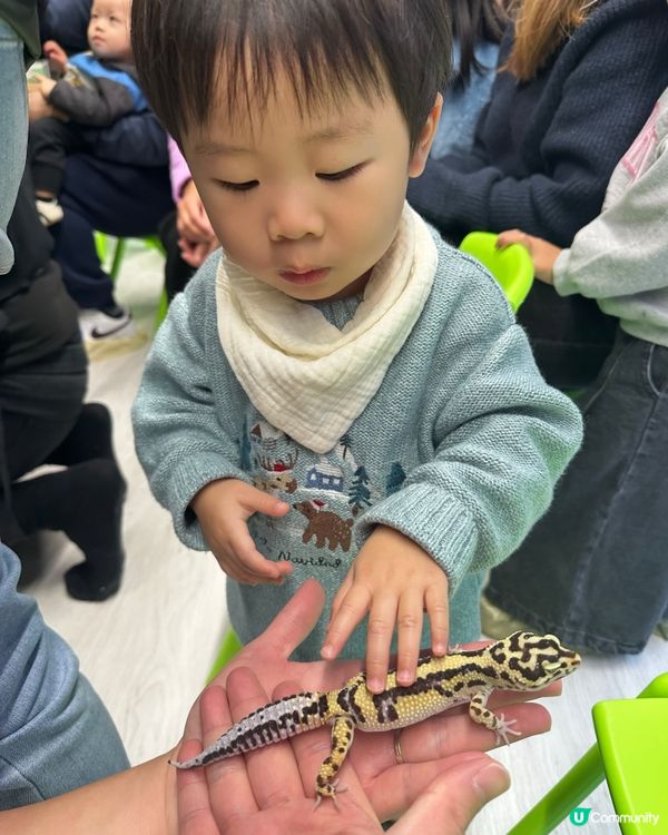 想近距離接觸小動物，一於嚟小小寵物園體驗！ 🐰🐹