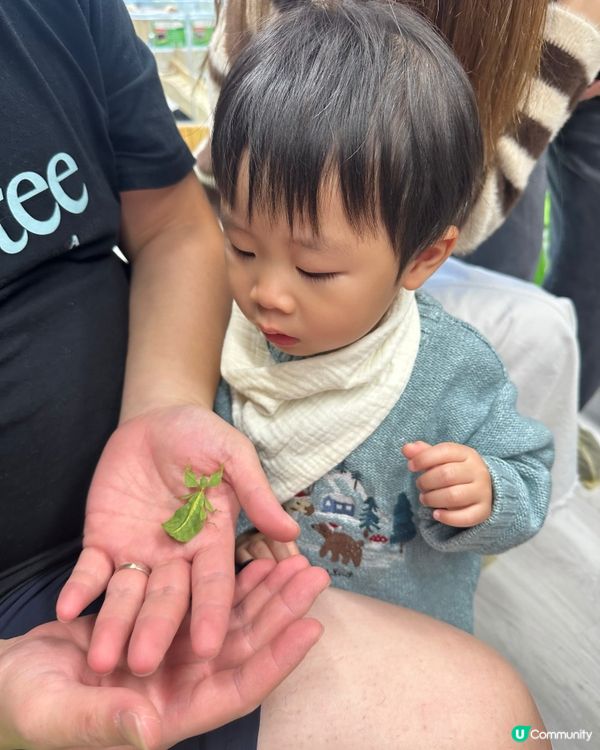 想近距離接觸小動物，一於嚟小小寵物園體驗！ 🐰🐹