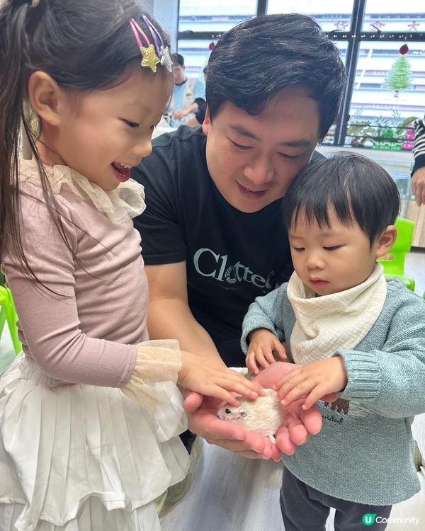 想近距離接觸小動物，一於嚟小小寵物園體驗！ 🐰🐹