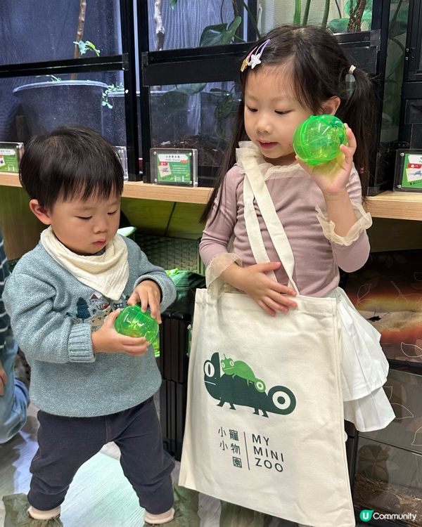 想近距離接觸小動物，一於嚟小小寵物園體驗！ 🐰🐹
