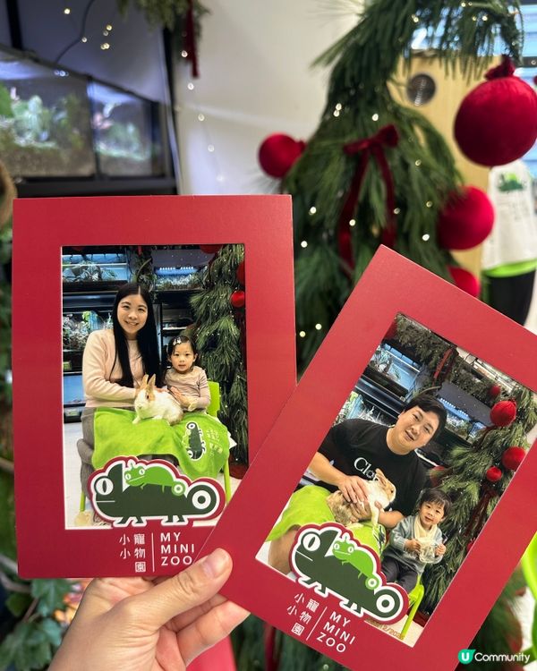 想近距離接觸小動物，一於嚟小小寵物園體驗！ 🐰🐹