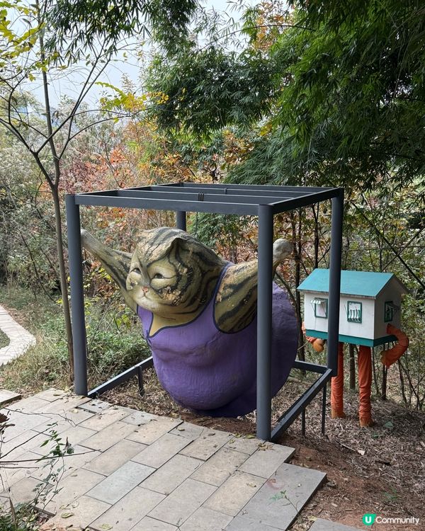 我在成都麓湖島慶祝聖誕🎄