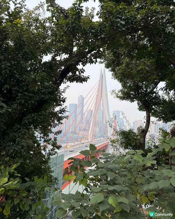 重慶旅遊特色❤️