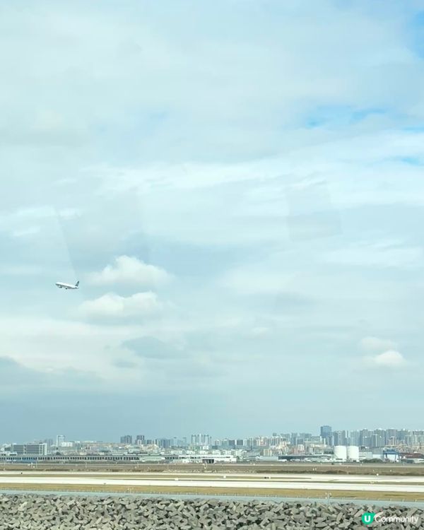 新年假期必選項目