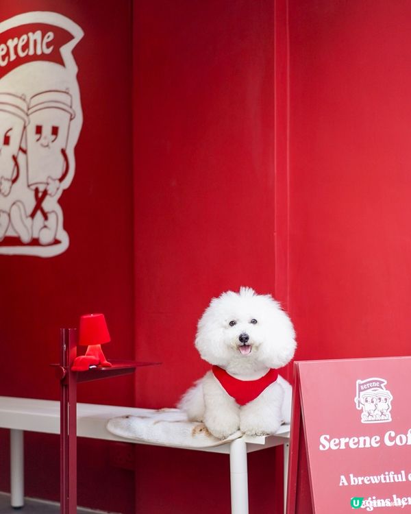 上環私藏咖啡蒲點 紅色新裝+凍檸賓☕️🐶 