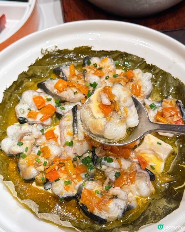 深圳好去處！新年中菜推薦！