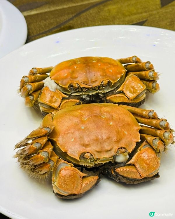 星海🌃高層維港景嘆大閘蟹🦀套餐🤤！ 