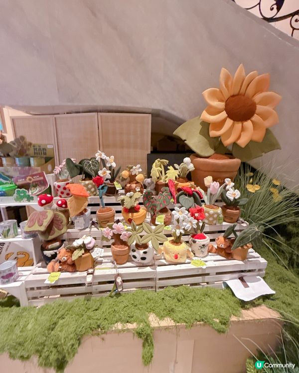 深圳人氣打卡景點| 白天華麗,晚上夢幻｢明華輪｣郵輪